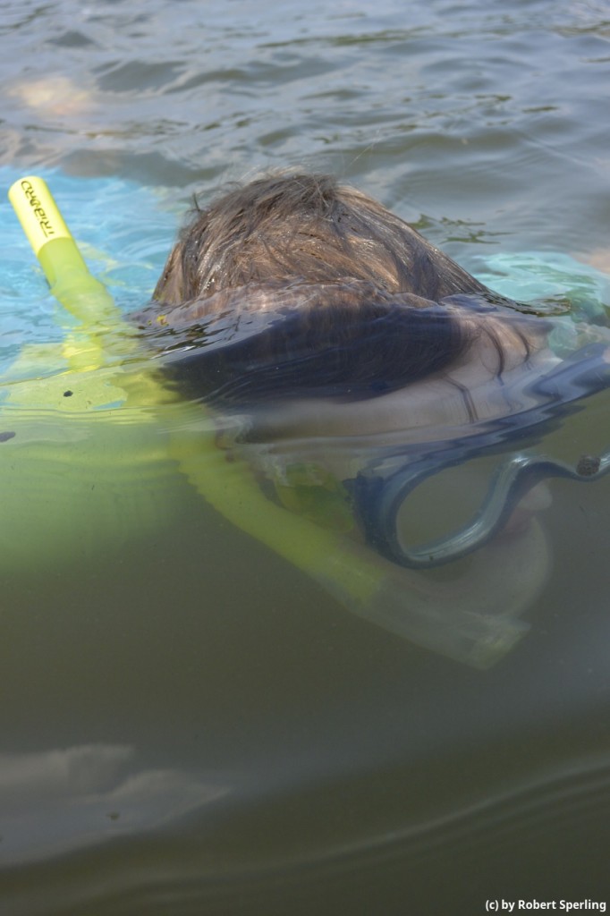 Nikon 1AW1 - halb unter Wasser ohne Wassertropfen